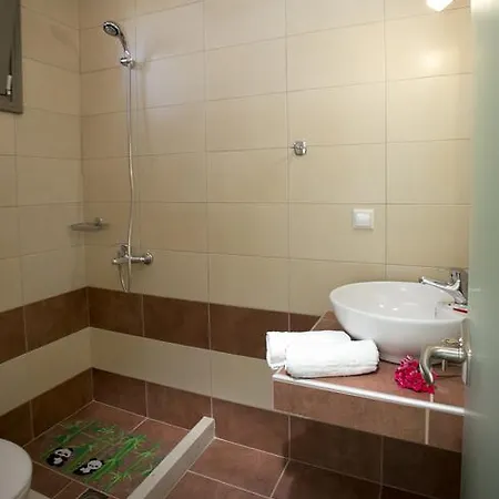 Guest house Elista *